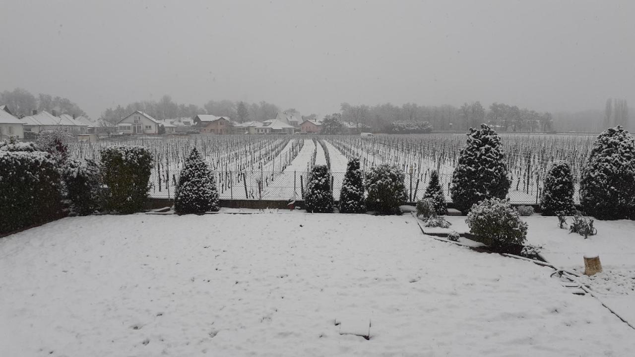 Aux Pieds Des Vignes Bed & Breakfast Ingersheim Bagian luar foto